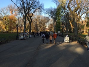 centralpark-1